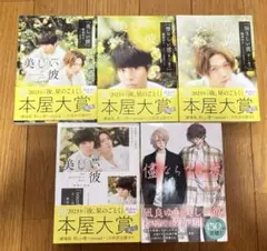 2026年最新】美しい彼 小説セットの人気アイテム - メルカリ