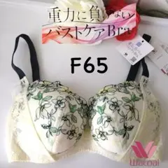 ワコール 重力に負けない バストケアBra ブラジャーF65 YE BRB474