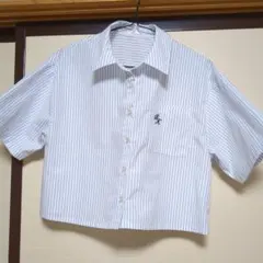 Item thumbnail for item 2b95859f-1de2-4924-b150-4fe38742082e