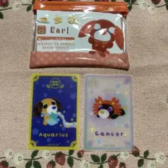 お茶犬　アール　ムハ　ロン　セット