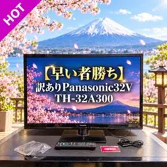 Panasonic 【ジャンク品】32V型 液晶 ビエラ TH-32E300 - メルカリ