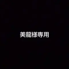 美龍様専用