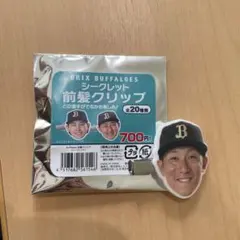 Item thumbnail for item 744c82d8-aafc-4bea-b6e2-27eaf9a00aa1