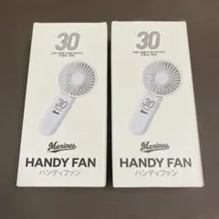 千葉ロッテマリーンズ　ハンディファン　２個セット