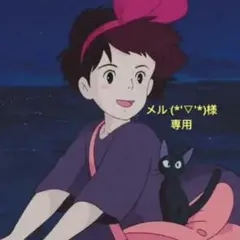 メル (*'▽'*)様13点専用