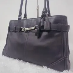 〈美品〉COACH F08A71 ハンプトンズ ハンドバッグ フリンジ