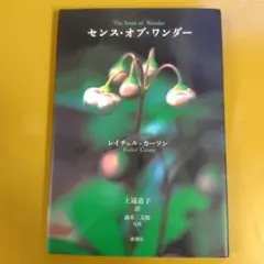 センス・オブ・ワンダー：G 1710