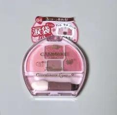 CANMAKE キャンメイク イチゴプランぷく04 限定色 限定イチゴパッケージ