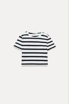Zara ストライプ 半袖Tシャツ Sサイズ