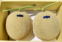 高知産 贈答用 温室マスクメロン 2玉 約4，9Kg 秀品 北海道沖縄発送