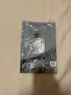小袋成彬 Stride GILDAN Tシャツ ライトブルー L