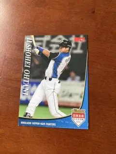 大谷翔平 トレーディングカード 2014年 日本ハム セ・パ交流戦 日本