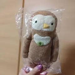中古フモフモさん ちこりL タグなし布タグ薄め 左右腕痩せていない