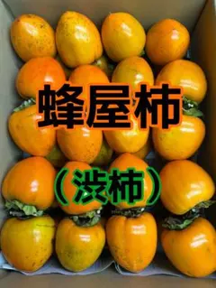 ⭐︎河村順子⭐︎蜂屋柿 20kg 【京都府】渋柿 ⭐︎河村順子様専用⭐︎蜂屋柿 20kg 【京都府】渋柿 2025年最新】蜂屋