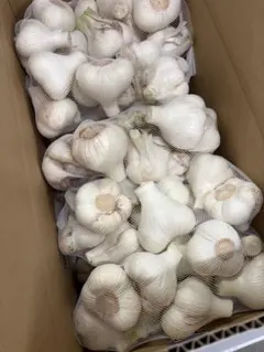 だんご次郎和歌山県産訳あり新にんにく10kg だんご次郎様専用和歌山県産訳あり新にんにく10kg - メルカリ