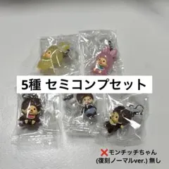 モンチッチ めじるしアクセサリー2 コンプリート セット ベビチッチ チムたん