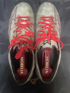 Mizuno アルファ　JAPAN 26.0 カーボンソール搭載