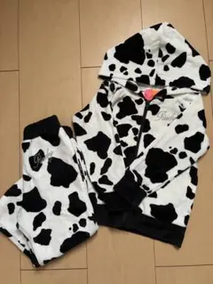 Rady セットアップ