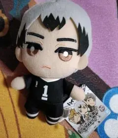 ハイキュー もちぴこぬいぐるみ 角名倫太郎 北信介➁ - メルカリ
