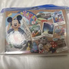 東京ディズニーランド ポストカードセットミッキー ミニー
