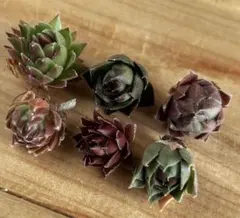 のこ様 リクエスト 2点 まとめ商品