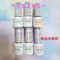【数量限定・全6色セット】パルキコイ フラッタリングペタルズカラー 新品のサムネイル