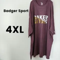 Badger Sport 【4XL】 Tシャツ プリント　ロゴ　ユニセックス
