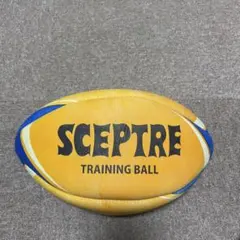 2026年最新】セプターラグビーボールの人気アイテム - メルカリ