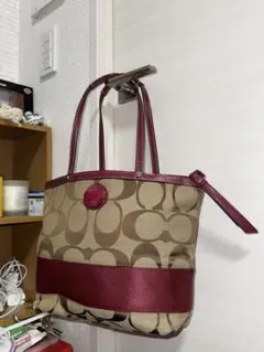 コーチ シグネチャー トートバッグ F19218