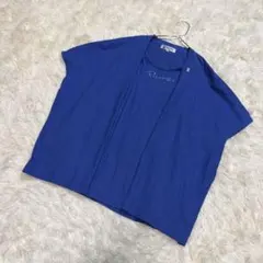 2026年最新】PICONE カラー：ブルー系 レディース 半袖(Tシャツ) T
