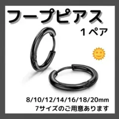 1ペア(2個) フープ リング ピアス ブラック ステンレス