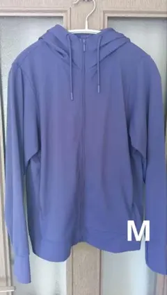 Item thumbnail for item 5d227a7c-3869-48d9-9e71-d46bf5967fe2