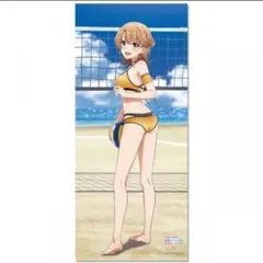 やはり俺の青春ラブコメはまちがっている。 ほぼ等身大タペストリー