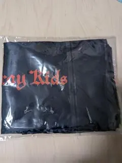 straykids スキズ　オーストラリア 北米　VIP特典　ピローケース2枚