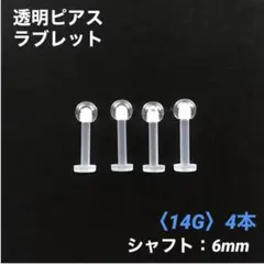 Item thumbnail for item a6f72823-94d4-4a7d-90ec-3d6ff0eeef20