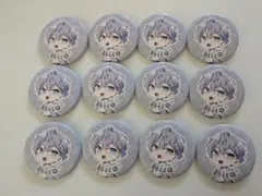 カラフルピーチ ヒロ 缶バッジ 12個セット