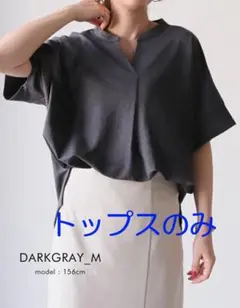 未使用タグ付き アクアガレージ 半袖 接触冷感のキーネックトップス カットソーのサムネイル