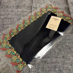 近沢レース覆面レスラー