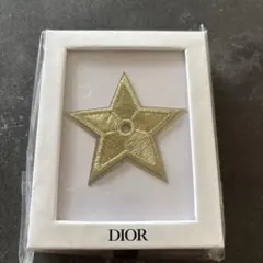 【新品未使用】 Dior 非売品 ピンバッチのサムネイル