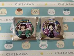 鬼滅の刃 イオン限定缶バッジ 缶バッチ 新品 2個セット