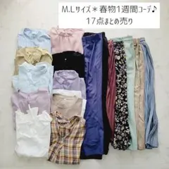 No212＊春物1週間コーデ♪17点まとめ売り＊M.Lサイズ