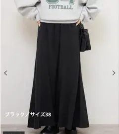 JOURNAL STANDARD relume フィブリルパネルスカートのサムネイル