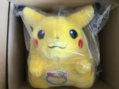 ポケモン30周年記念 おかえり!ピカチュウ1/1