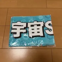 【新品未使用】宇宙six 8.8 Jr.祭 タオル SnowMan目黒蓮