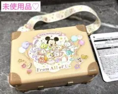 東京ディズニーリゾート ダッフィーフレンズ　シェリーメイ　スーベニアケース　限定