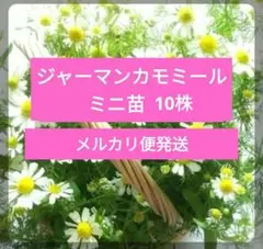 すーこちゃん♡様 リクエスト 4点 まとめ商品