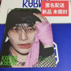 STRAYKIDS KARMA ACCORDION アイエン　I.N 新品未開封