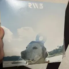 RADWIMPS RADWIMPS 3 アナログ盤 レコードのサムネイル