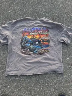 Harley Davidson ハーレーTシャツ ボックスシルエット