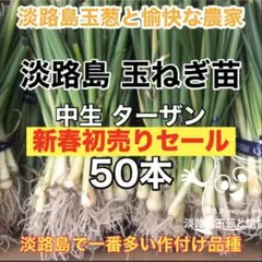 2026年最新】ターザン 苗の人気アイテム - メルカリ